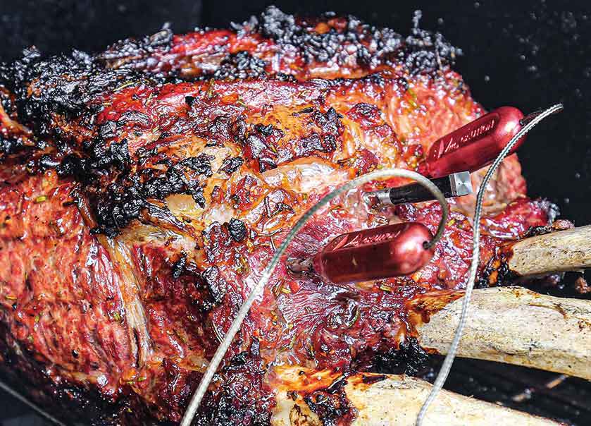 Alles unter Kontrolle! Fleischthermometer im Überblick