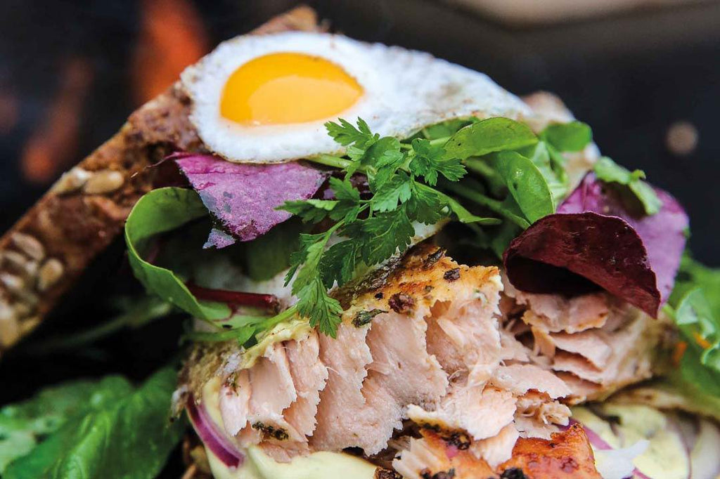 Plank salmon sandwich with mustard mayonnaise 