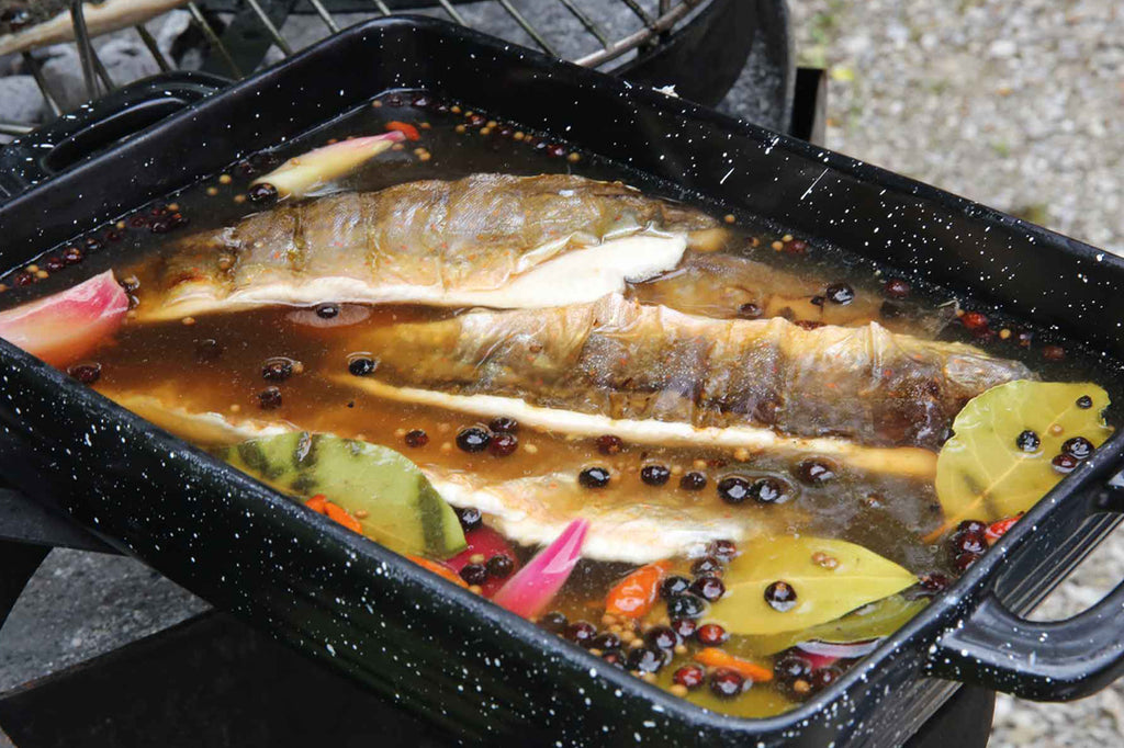 Lauwarmer Saibling, sauer mariniert
