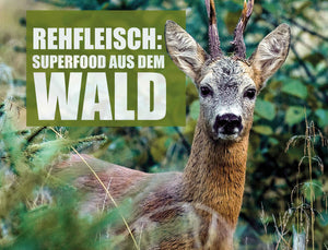 Rehfleisch: Superfood aus dem Wald!