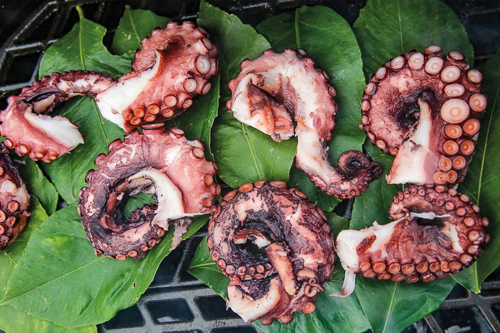 Gegrillter Oktopus