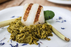 Jakobsmuscheln mit Erbsen-Minz Mus