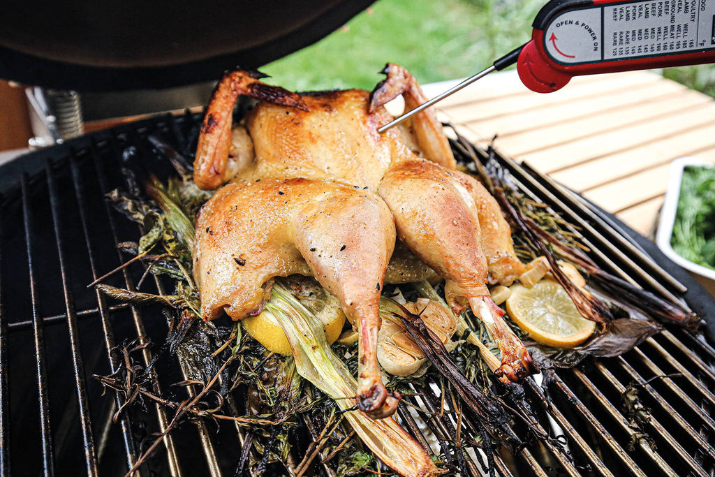 Herbal chicken from the brine 