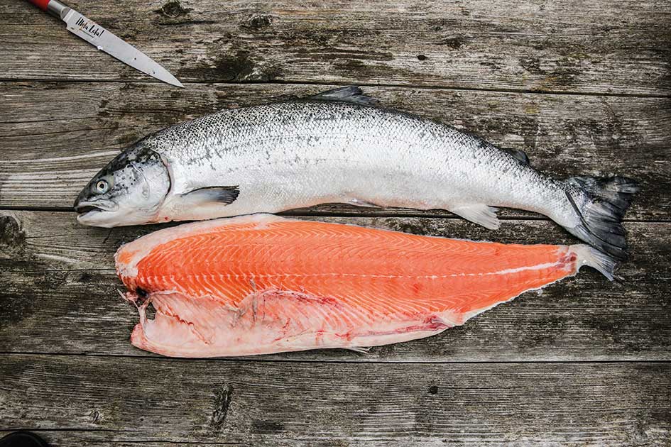 Lachs filetieren Schritt für Schritt