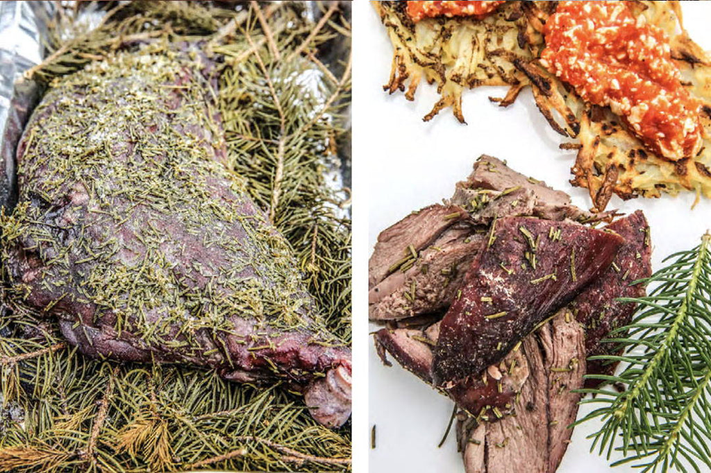 Shoulder of venison on spruce branches 