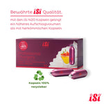 iSi Professional Chargers Cream 10 pieces 