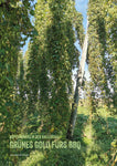 FIRE&FOOD 2024/04 - Einzelausgabe Magazin