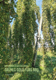 FIRE&FOOD 2024/04 - Einzelausgabe Magazin
