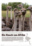 FIRE&FOOD 2023/04 - Einzelausgabe Magazin