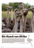 FIRE&FOOD 2023/04 - Einzelausgabe Magazin