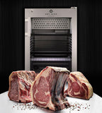 DRY AGER DX 500 Premium S Standard 
