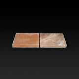 Dry Ager DX500 - Saltair salt blocks – set of 2