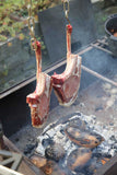 Ramster Toms Westernküche Bonanza - höhenverstellbar