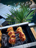 Shichirin grill rectangular + Binchotan special package FREE!