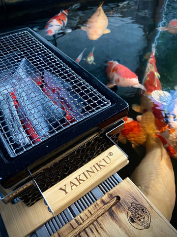 Binchotan charcoal for grilling clearance