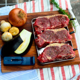 MeatStick MiniX by TMS (Mini Stick + Xtender-Ladegerät) + Bookazine Best Steak
