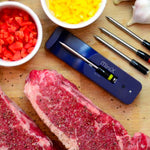 MeatStick MiniX by TMS (Mini Stick + Xtender-Ladegerät) + Bookazine Best Steak