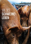 FIRE&FOOD 2019/02 - Einzelausgabe Magazin