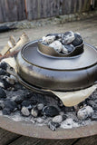 Lodge "Cook-It-All" Dutch Oven + Bookazine for free