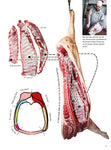 Bookazine No.7 - Best Ribs (German)
